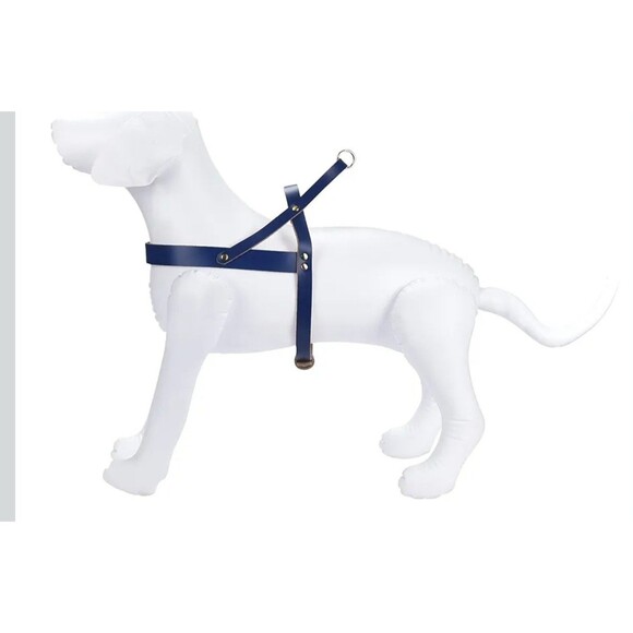 Black Rhino Leather Padded Dog Harness Heavy Duty Leather 10x8x8 Inch Blue - Picture 1 of 5